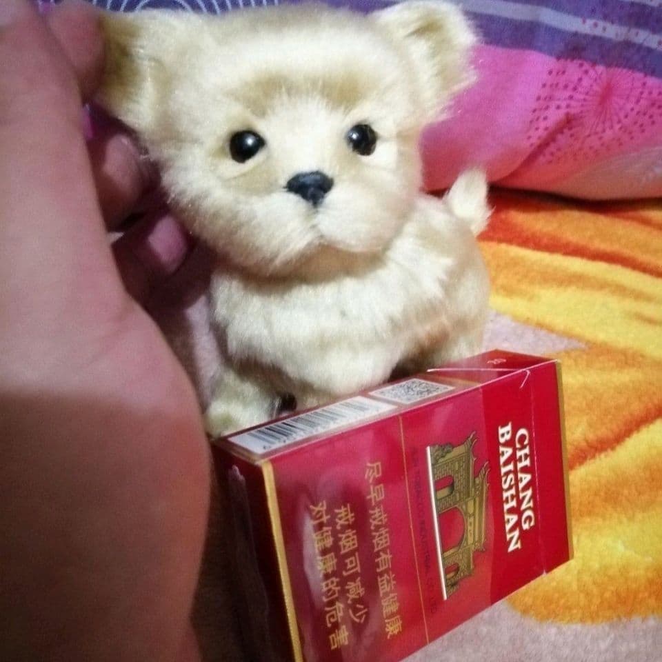 犬 ぬいぐるみ 犬 ぬいぐるみ ふわもこポメちゃん