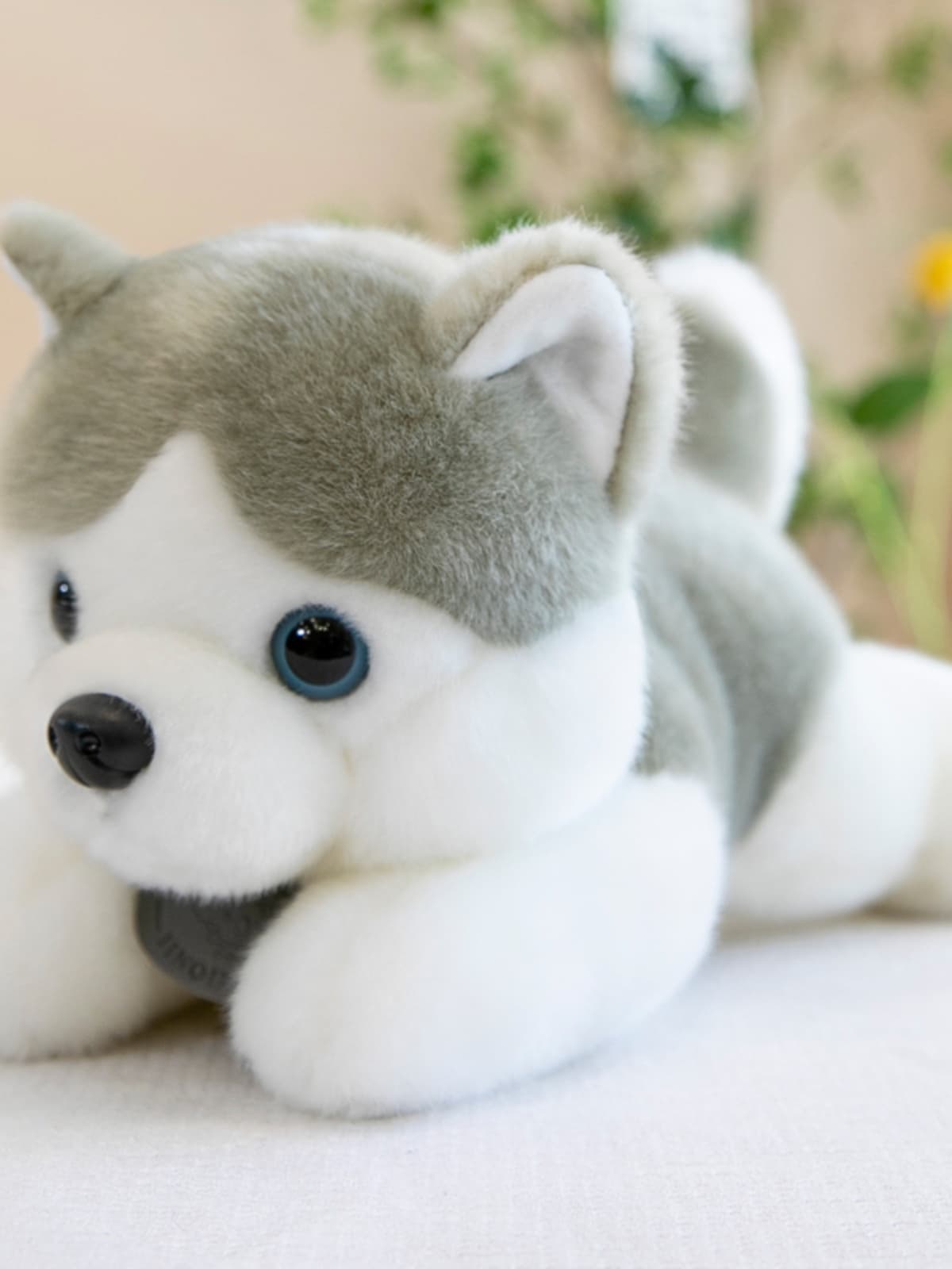 愛らしい表情の柴犬ぬいぐるみ