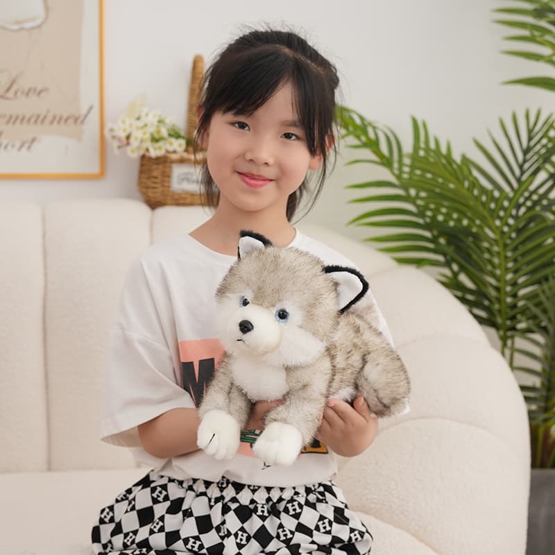 犬 ぬいぐるみ ふわもふ豆柴ぬいぐるみ 愛らしい仲間たち