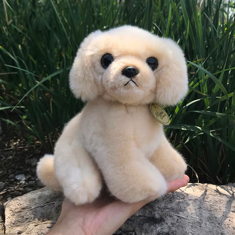 犬 ぬいぐるみ もふもふトイプードルのお友達